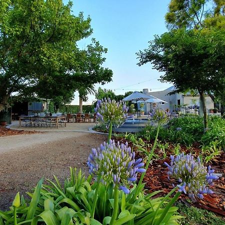 Picardiplace Rawsonville Ngoại thất bức ảnh